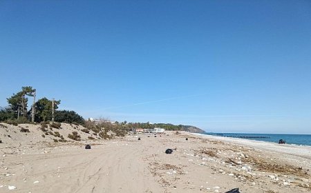 Sahillerde temizlik çalışması