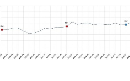 Tüketici Güven Endeksi, Şubat 2026