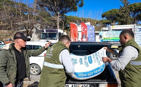 Aydın Büyükşehir Belediyesi’nin Küçük Üreticilere Yem Destekleri Devam Ediyor