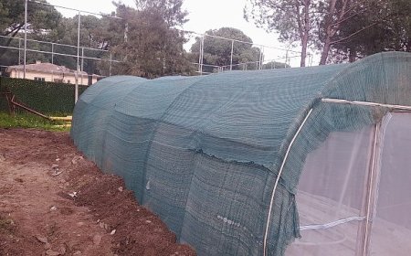 Bergama Belediyesi’nden atıktan hayata dönüşen çevre hamlesi