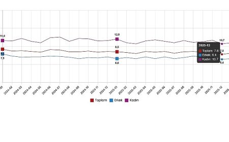 İşgücü İstatistikleri, Ocak 2026