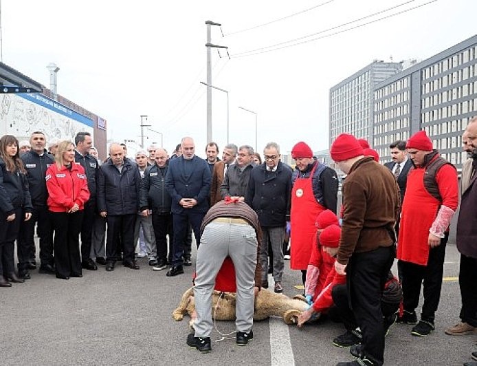 Hızır 41, 1 yaşında milyonlara ulaştı
