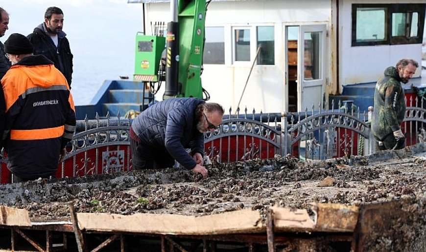 Gebze Eskihisar’da nefes alıyor