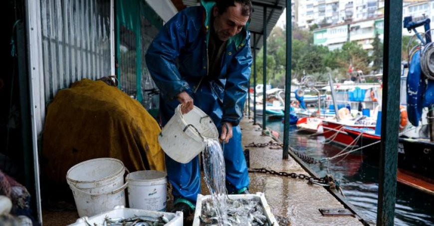 Balık sizden, mazot bizden