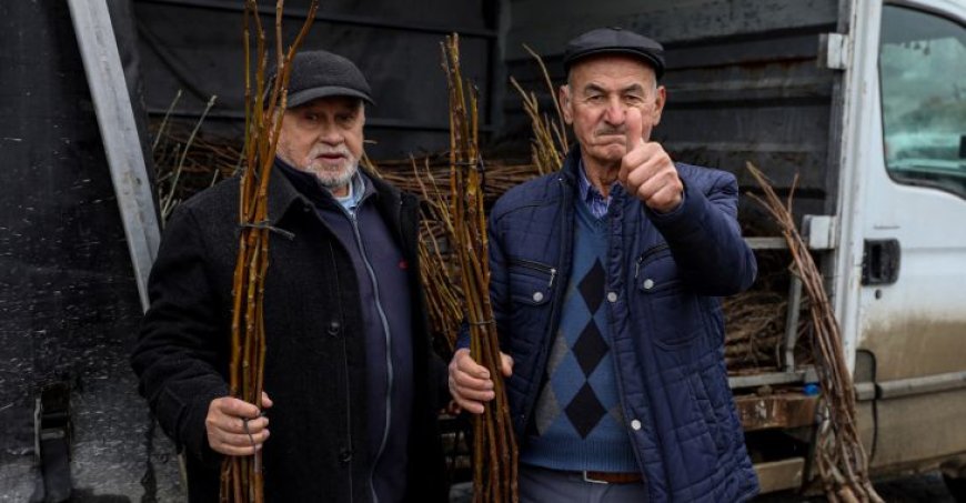 Büyükşehir’de üreticiye fidan ve tohum desteği