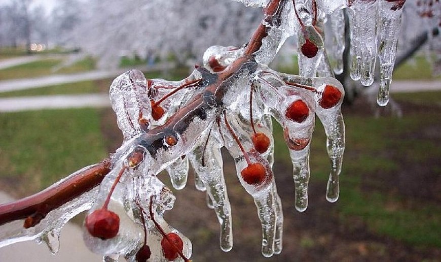 Zirai Don İçin Riskli Dönem Yaklaşıyor
