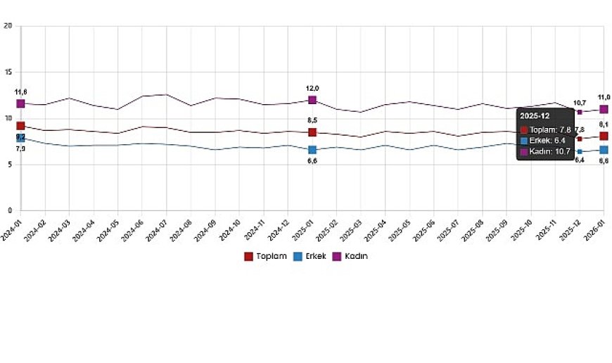 İşgücü İstatistikleri, Ocak 2026