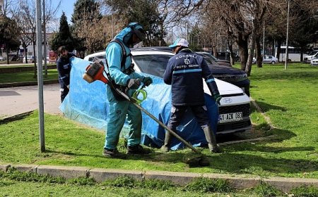 Büyükşehir'den hassas çalışma