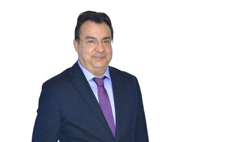 Türk Çam Balını Manuka Balına Rakip Yapacak Proje Hayata Geçiyor