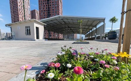 Yenişehir Belediyesi’nden çevreci belediyecilik hamlesi