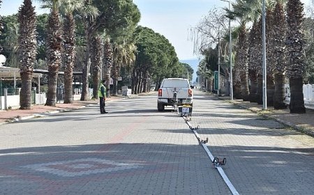 BALDEP Projesi Altınova Sahili’nde Sürüyor