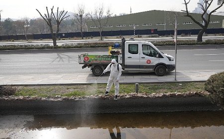 Keçiören’de Larva Mücadelesi ve Bordo Bulamacı Uygulamaları Aralıksız Devam Ediyor