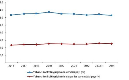 Yabancı Kontrollü Girişim İstatistikleri, 2024