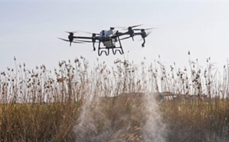 Sivrisinek ve zararlılara karşı İzmir modeli