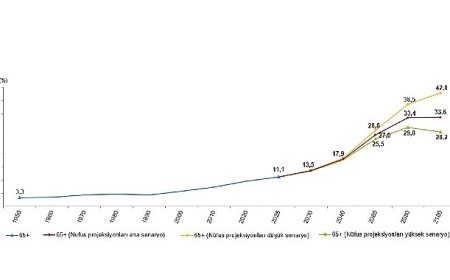 İstatistiklerle Yaşlılar, 2025