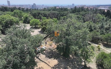 "Üsküdar Belediyesi’nin “Validebağ Korusu”nda Yaptığı Çalışmalar Avrupa’nın En İyi Uygulamaları Arasında