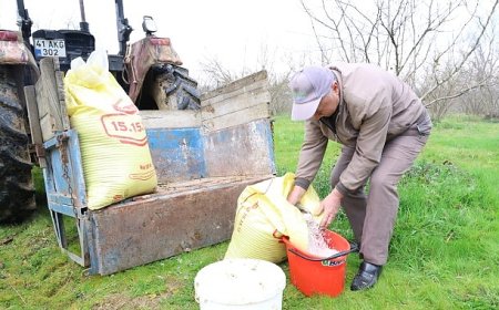 Gübreler toprakla buluşuyor, çiftçinin yüzü gülüyor