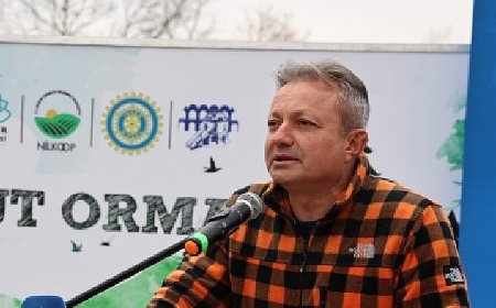 Unçukuru Mahallesi’nde atıl arazi Umut Ormanı’na dönüşüyor