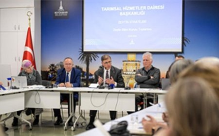 Büyükşehir’den İzmir zeytini için dev adım