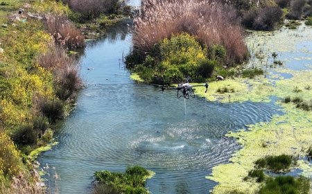 Manisa Büyükşehir Belediyesi’nden Vektörle Mücadelede Yoğun Mesai