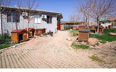 Başkan Yetişkin: “Artık çöpe giden yemekler can dostlarımız için mamaya dönüşüyor”