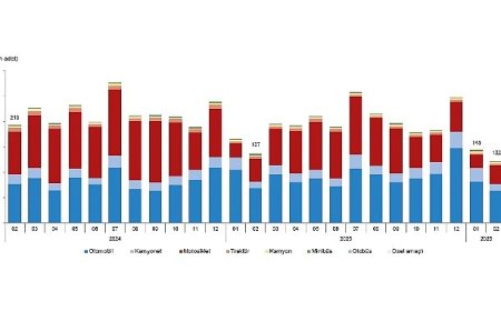 Motorlu Kara Taşıtları, Şubat 2026