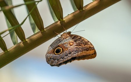 Selçuklu Belediyesi Ramazan Bayramı’na Hazır