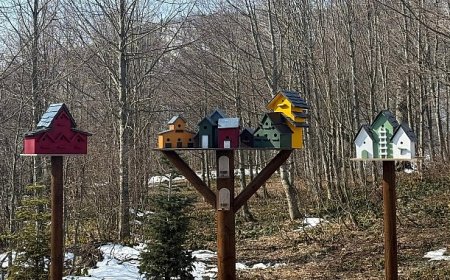 Bayramda kapınız doğaya açılsın