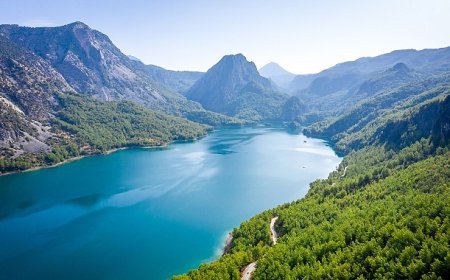 Su ve Orman: Doğanın, Refahın ve Eşitliğin Temel Taşları