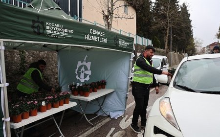 Büyükşehir, kabirler için on binlerce çiçek dağıttı