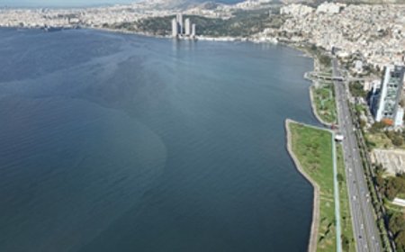 Tarım ve sanayi atıklarıyla kirlenen Gediz İzmir Körfezi’ne akıyor
