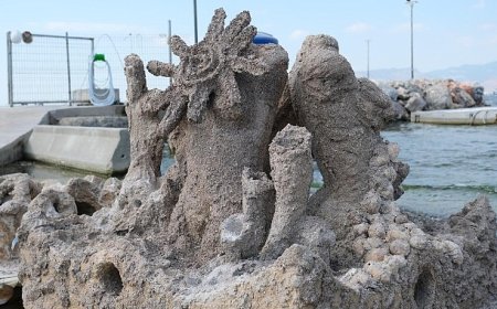 İzmir’de atık midye kabukları yapay resiflere dönüşecek