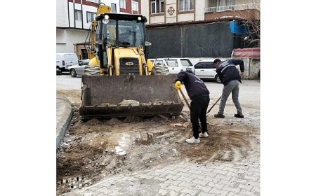 Edremit Belediyesi Altınkum’da ve Kadıköy’de Yolları Yeniliyor