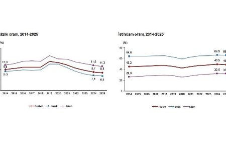 İşgücü İstatistikleri, 2025