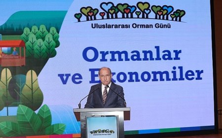Ormanların Ekonomik Gücüne Dikkat Çekildi