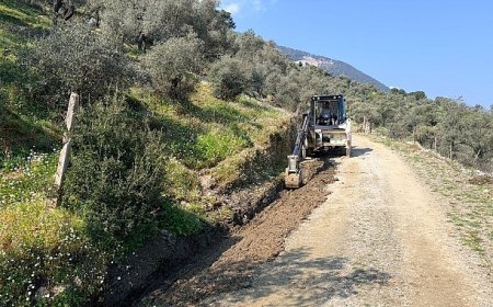 Milas Belediyesi Ekipleri İlçe Genelinde Hummalı Çalışmalar Yapıyor
