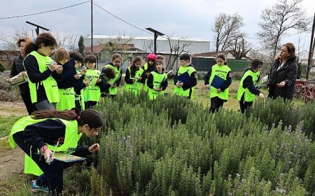 Ürünlü’de doğa sevgisi yeşeriyor