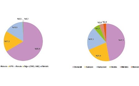 Ulaştırma Sektörü Nihai Enerji Tüketim İstatistikleri, 2024