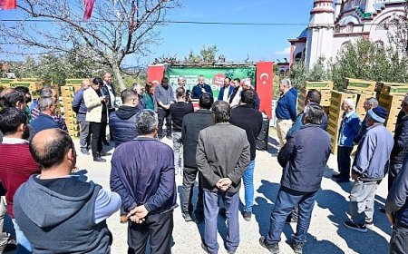 Gördes’te Üreticinin Yüzü Güldü: 73 Bin Domates Fidesi Toprakla Buluşuyor