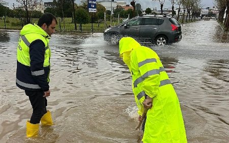Didim Belediyesi tüm ekipleriyle sahada
