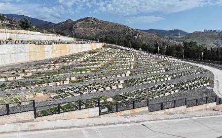 Büyükşehir 70 futbol sahası büyüklüğünde alan açtı