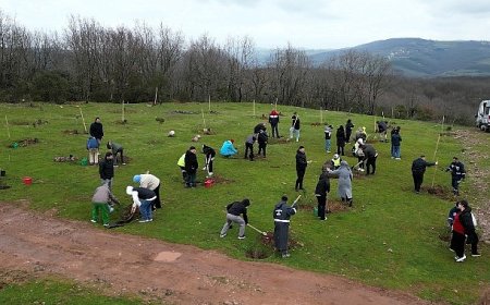 Fidanlar engelsiz hayat için dikildi