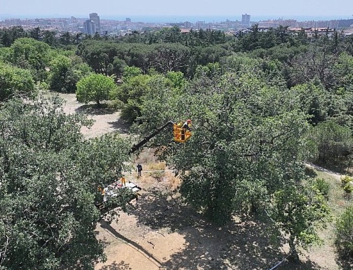 "Üsküdar Belediyesi’nin “Validebağ Korusu”nda Yaptığı Çalışmalar Avrupa’nın En İyi Uygulamaları Arasında