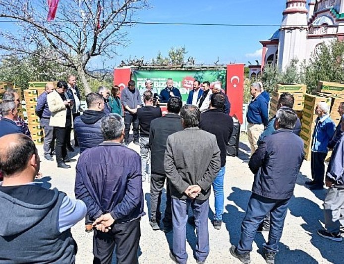 Gördes’te Üreticinin Yüzü Güldü: 73 Bin Domates Fidesi Toprakla Buluşuyor