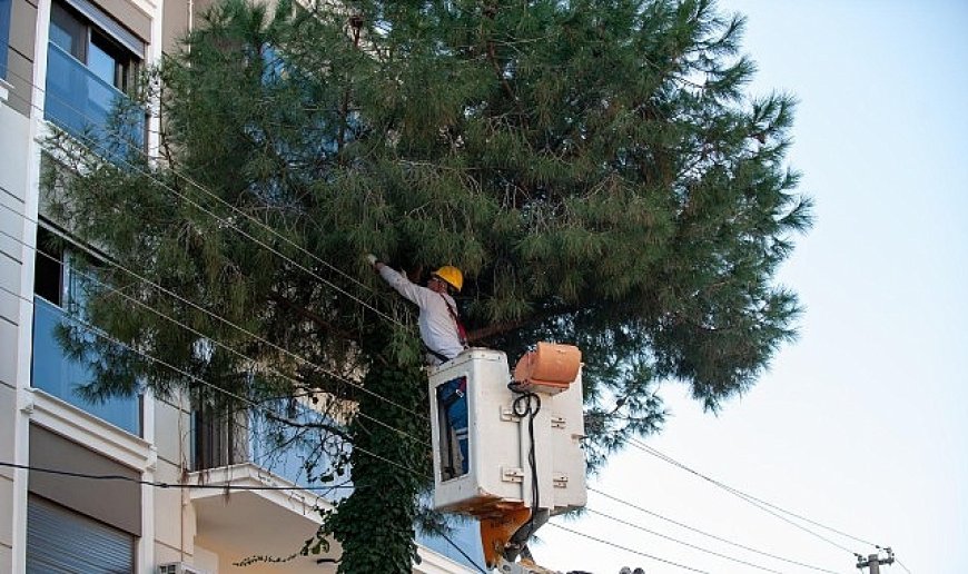 Karşıyaka’da budama seferberliği: Ağaçlar bahara hazırlanıyor