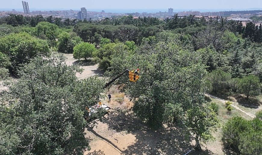 "Üsküdar Belediyesi’nin “Validebağ Korusu”nda Yaptığı Çalışmalar Avrupa’nın En İyi Uygulamaları Arasında
