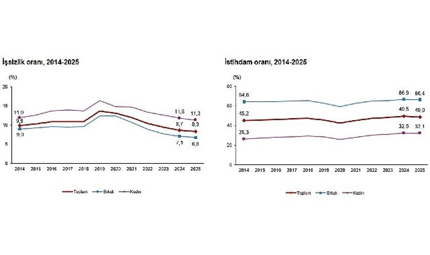 İşgücü İstatistikleri, 2025