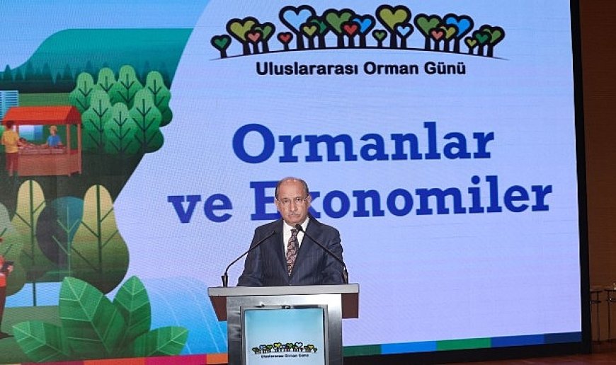 Ormanların Ekonomik Gücüne Dikkat Çekildi