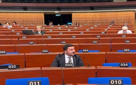 Belediye Başkanımız Rasim Arı, Fransa'dan Dünya’ya Seslendi