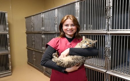 Buca’da 599 patili dost sıcak yuvaya kavuştu